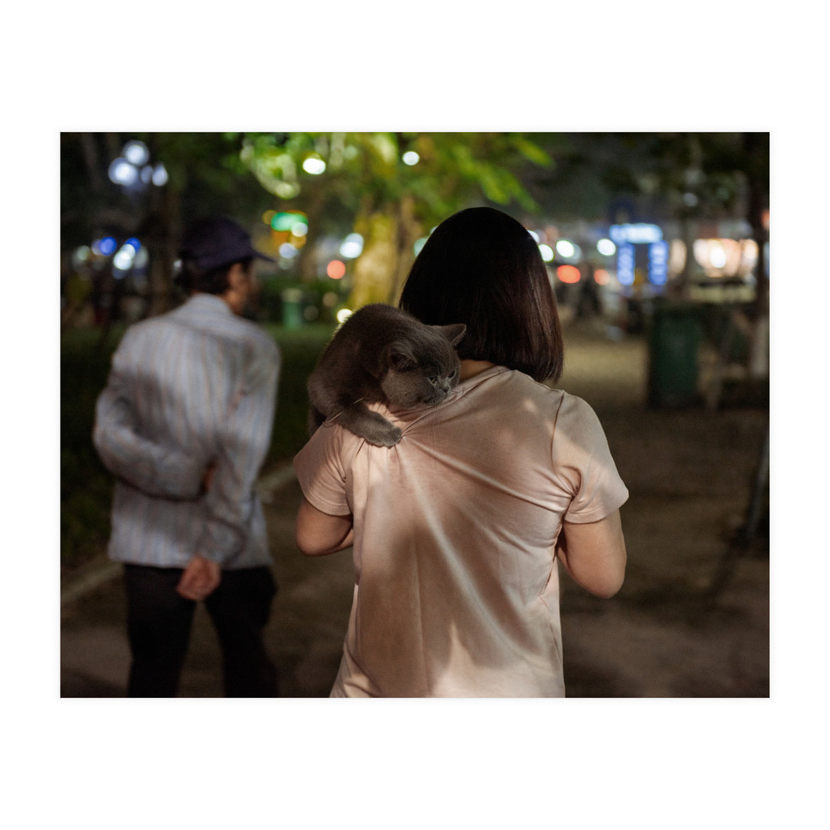 Cats of Vietnam (Print Only)