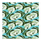 Summer Variegated Monstera | Rainforest Jungle botanical Plants Illustration | Boho Tropical Nature (Print Only) thumbnail