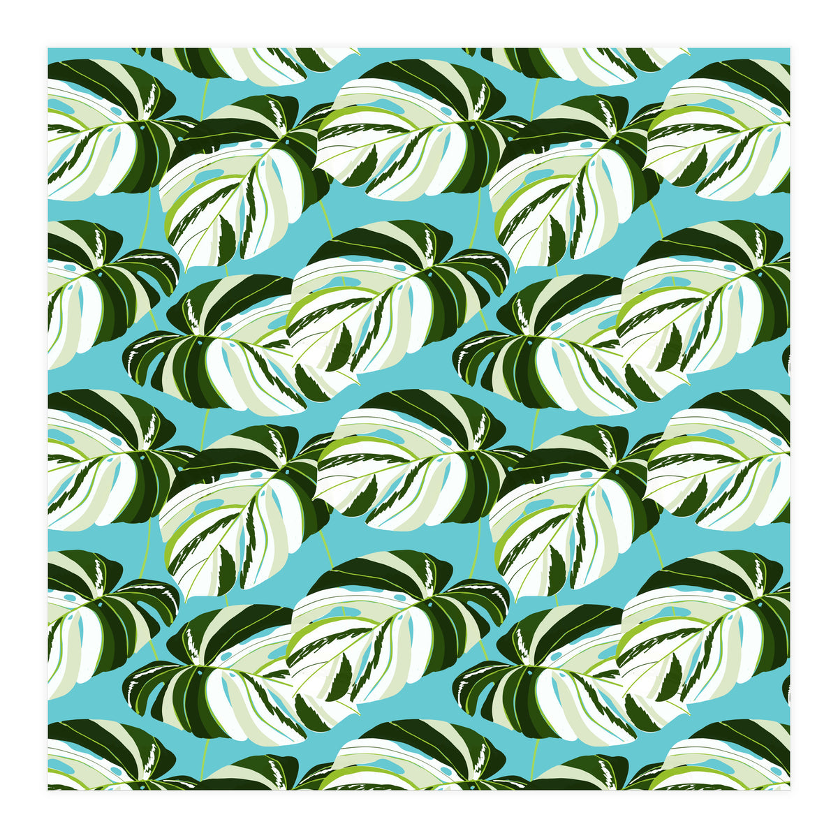 Summer Variegated Monstera | Rainforest Jungle botanical Plants Illustration | Boho Tropical Nature (Print Only)