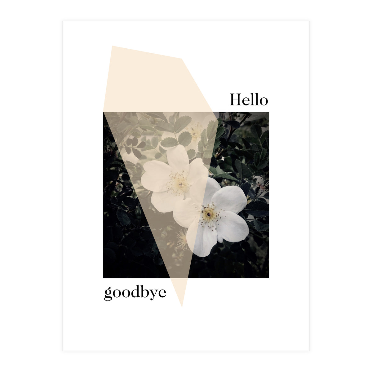 Hello goodbye  (Print Only)