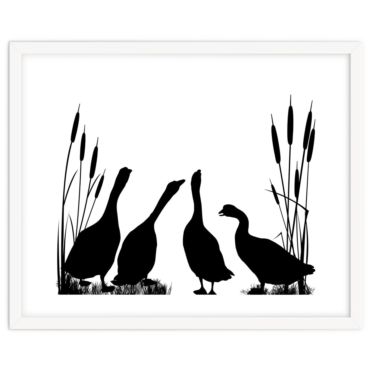 Gooses talk