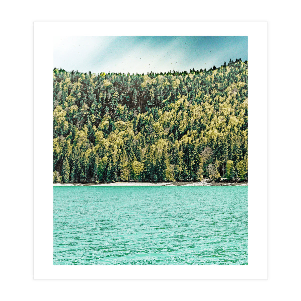 Lake Side (Print Only)