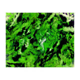More Distinguishing Marks (Print Only) thumbnail