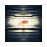 Glow (Print Only) thumbnail