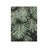 MONSTERA LEAVES (Print Only) thumbnail