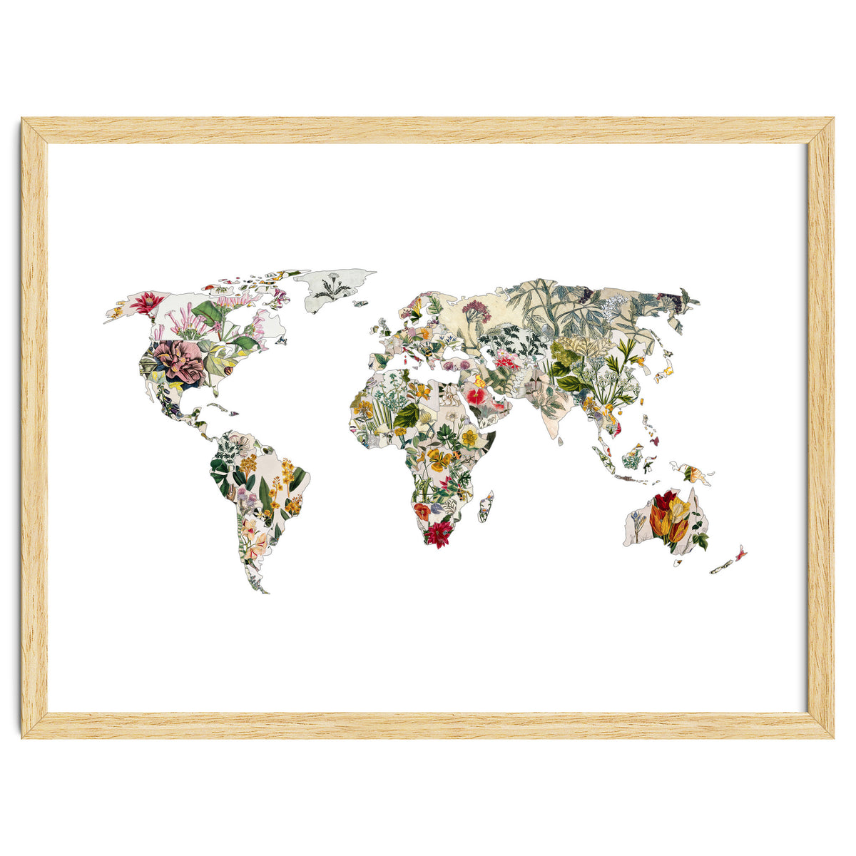 Vintage Botanical Map