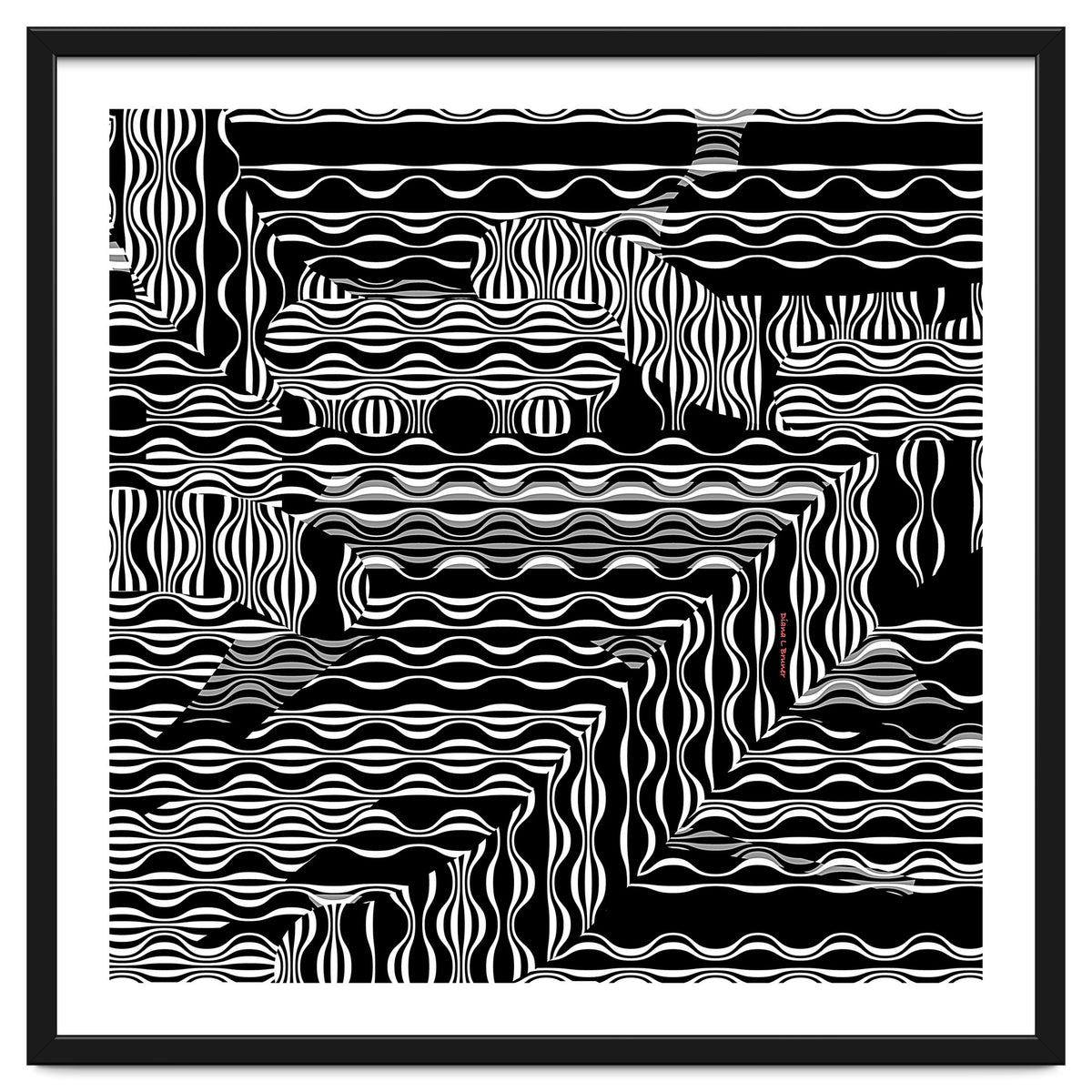 BLACK AND WHITE EXOTIC