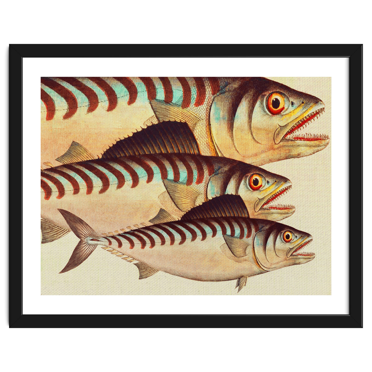 Fish Classic Designs 8