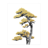 Bonsai Tree 04 (Print Only) thumbnail