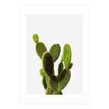 77 (Print Only) thumbnail