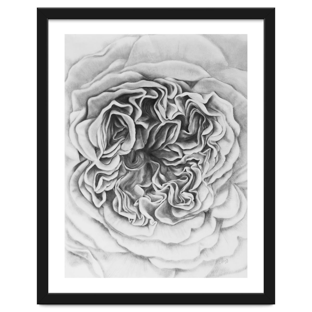 A Rose in Monochrome