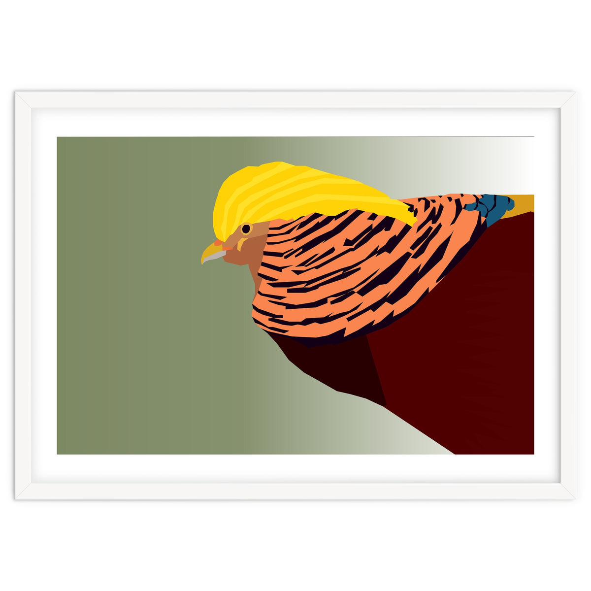 Golden Pheasant Bird Art