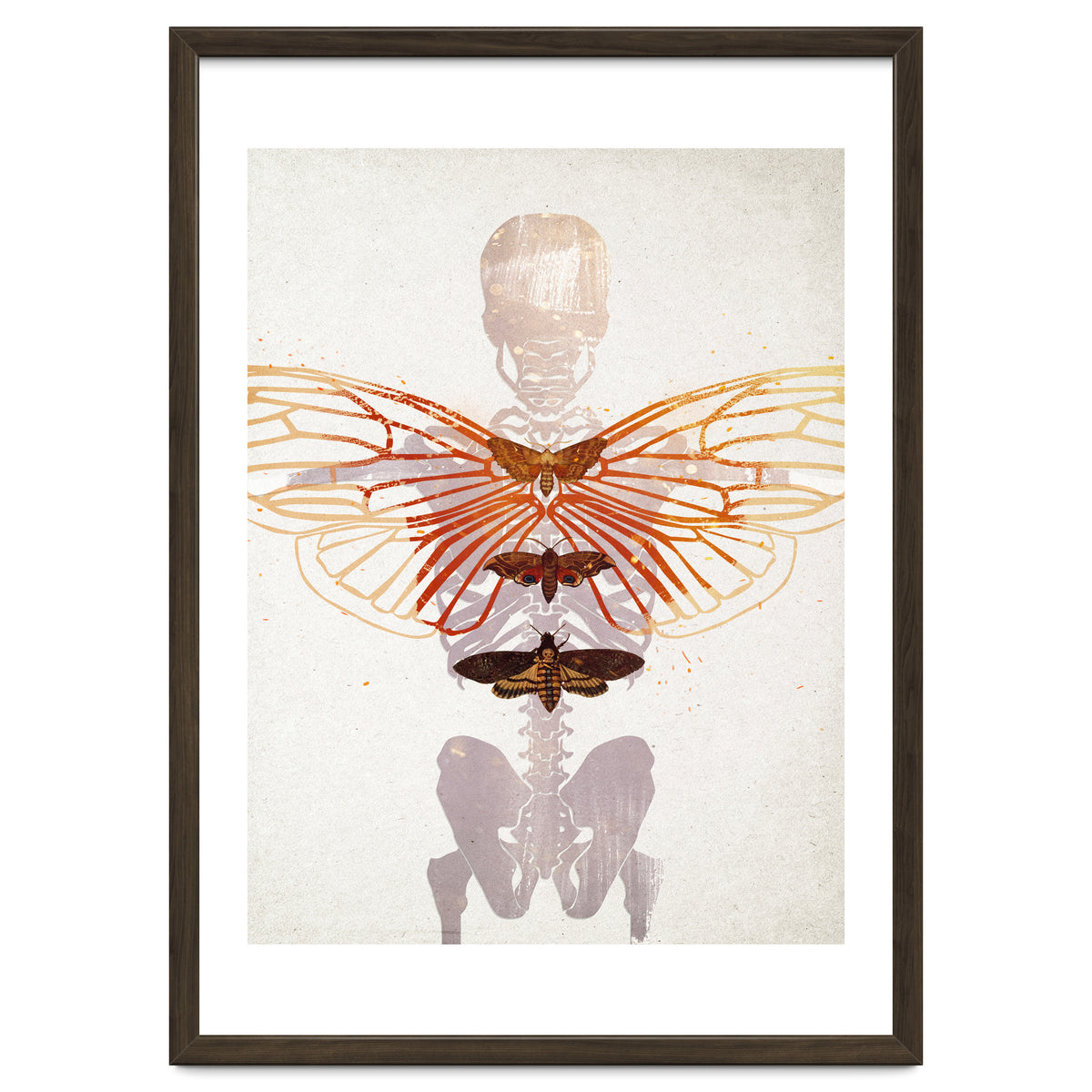 Ikarus - Like a Moth to the Flame