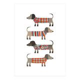 Sausage Dogs In Sweaters (Print Only) thumbnail