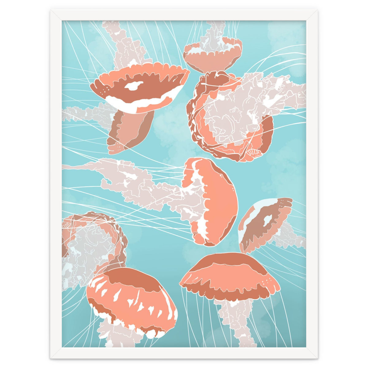 Jellyfish