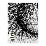 Mad Mind 4 (Print Only) thumbnail