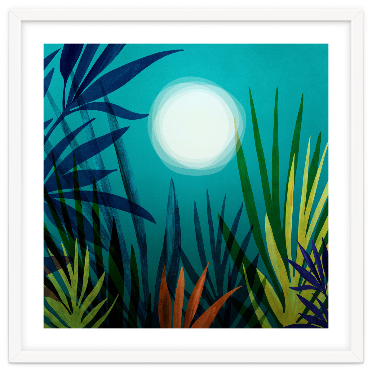 Midnight In The Jungle