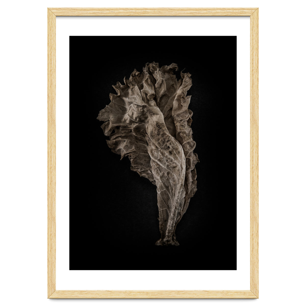 Leaves No 8 Color Version