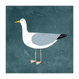 Seagull (Print Only) thumbnail