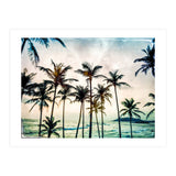 No Palm Trees (Print Only) thumbnail