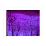 Forest Light (Print Only) thumbnail