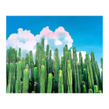 Cactus Summer (Print Only) thumbnail