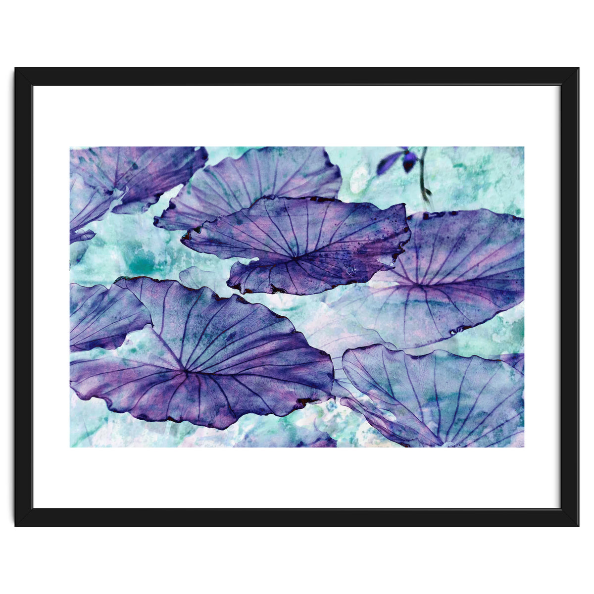 Botanical Surrealism