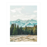 Winter Weather (Print Only) thumbnail