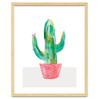 Painted Cactus In Coral Plant Pot