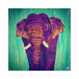 Purple wisdom (Print Only) thumbnail