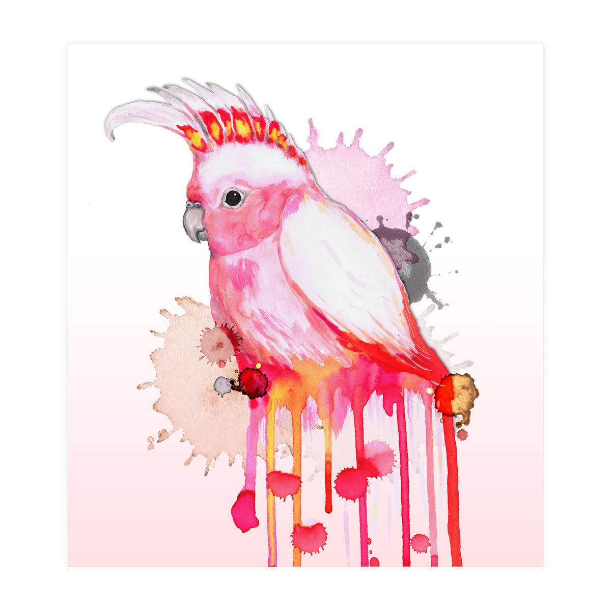 Major Mitchell's cockatoo (Print Only)