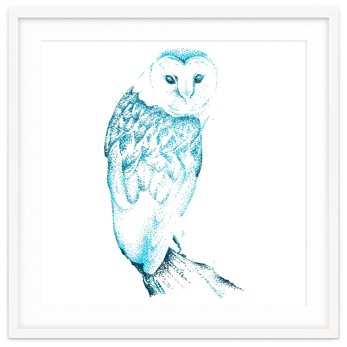 Barn Owl in Teal