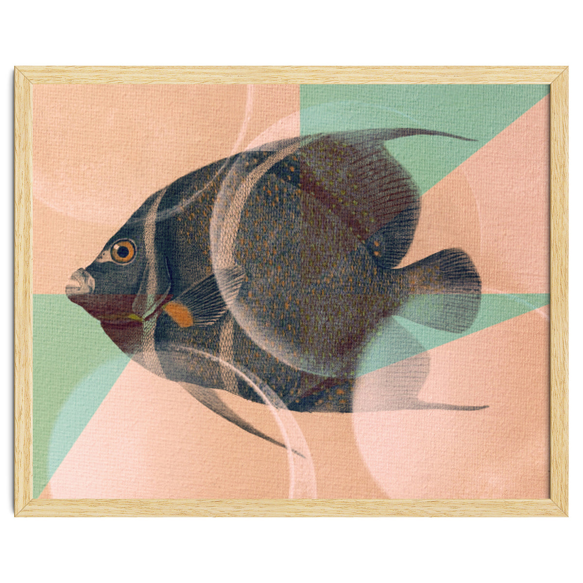 Fish Between Circles 2