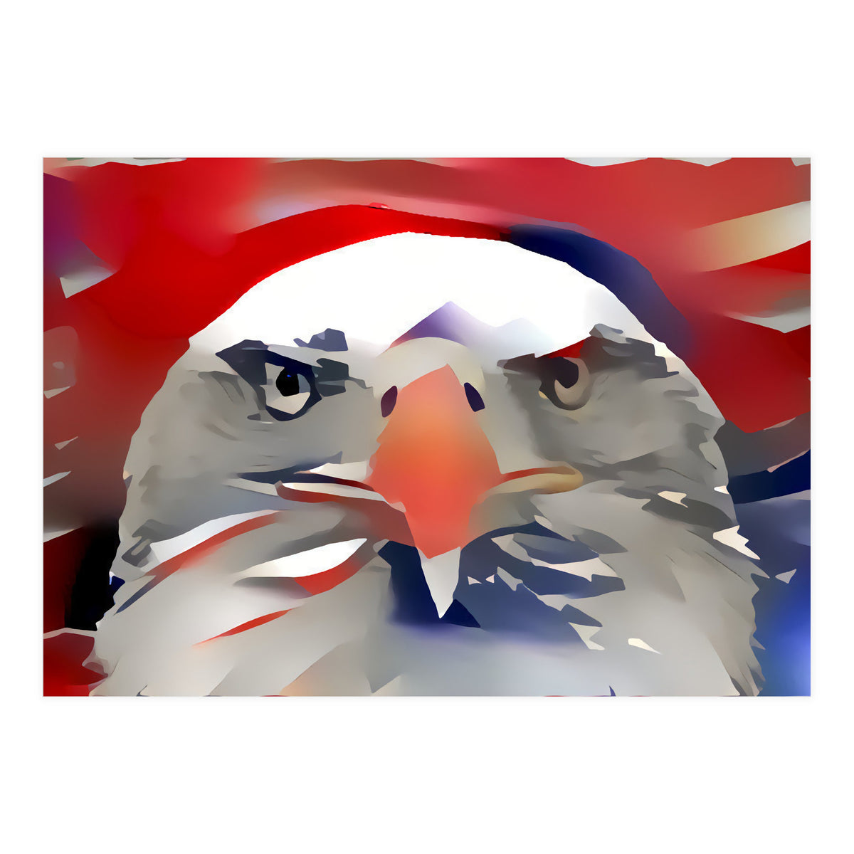 Bald Eagle (Print Only)