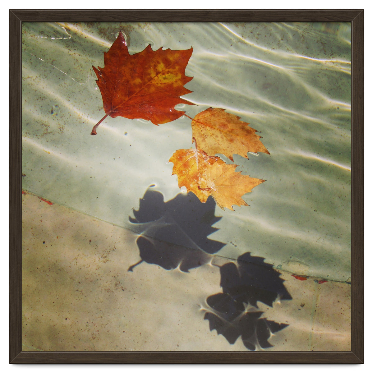 Floating leaves