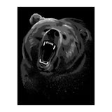 Grizzly attack (Print Only) thumbnail