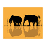 Elephants In The Water (Print Only) thumbnail