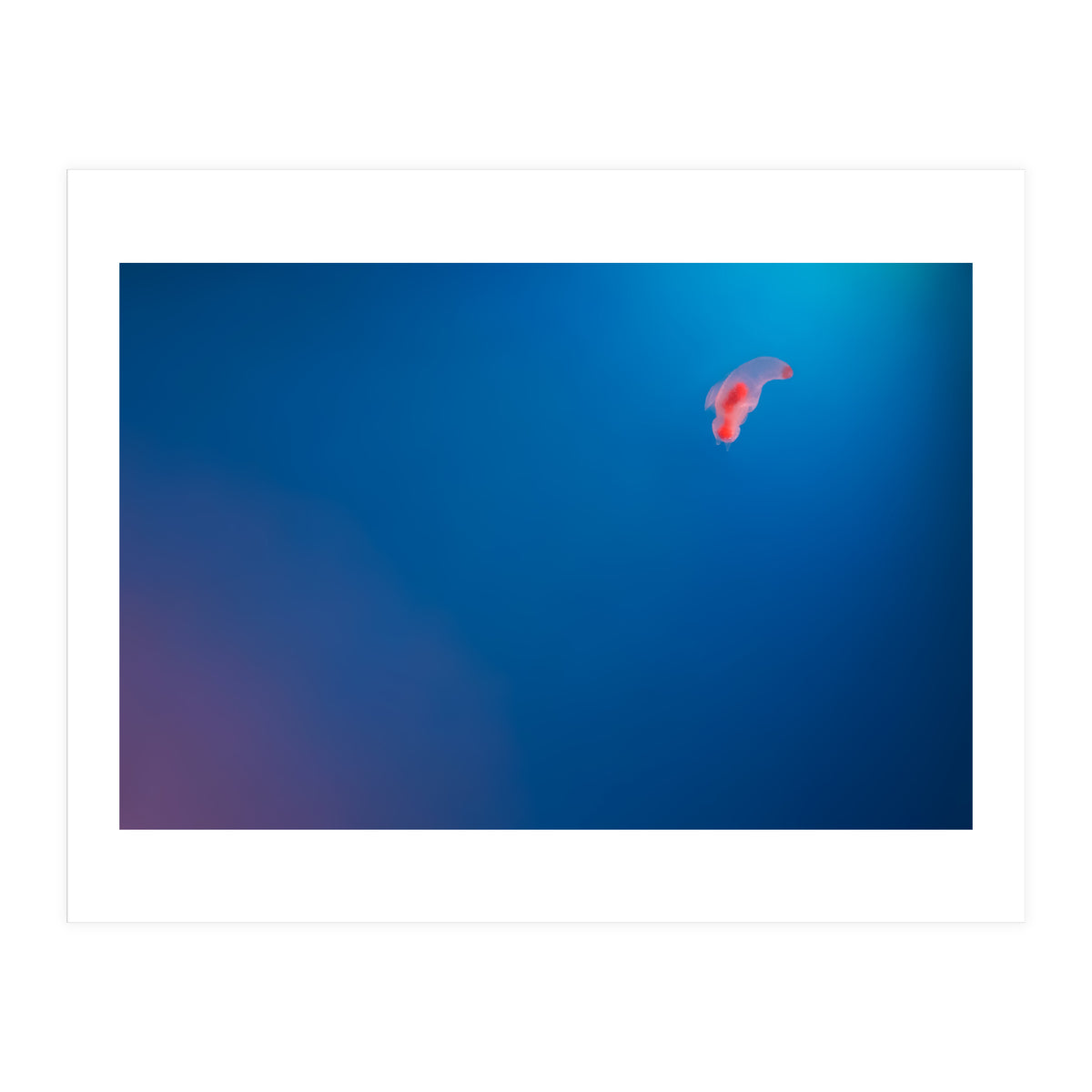 Absolute Zero (Print Only)