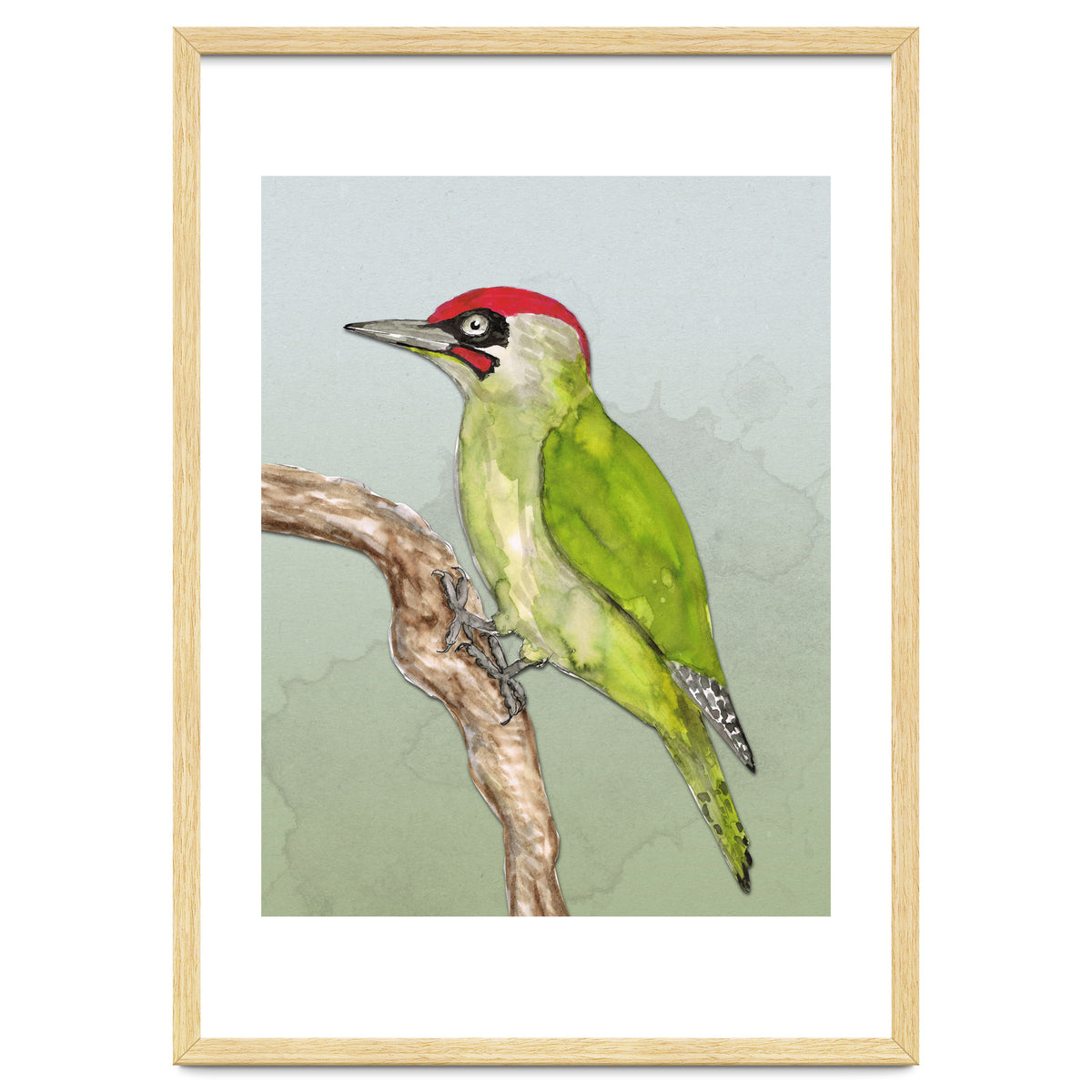 Green woodpecker
