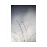 Forgotten Memories of summer #18 (Print Only) thumbnail