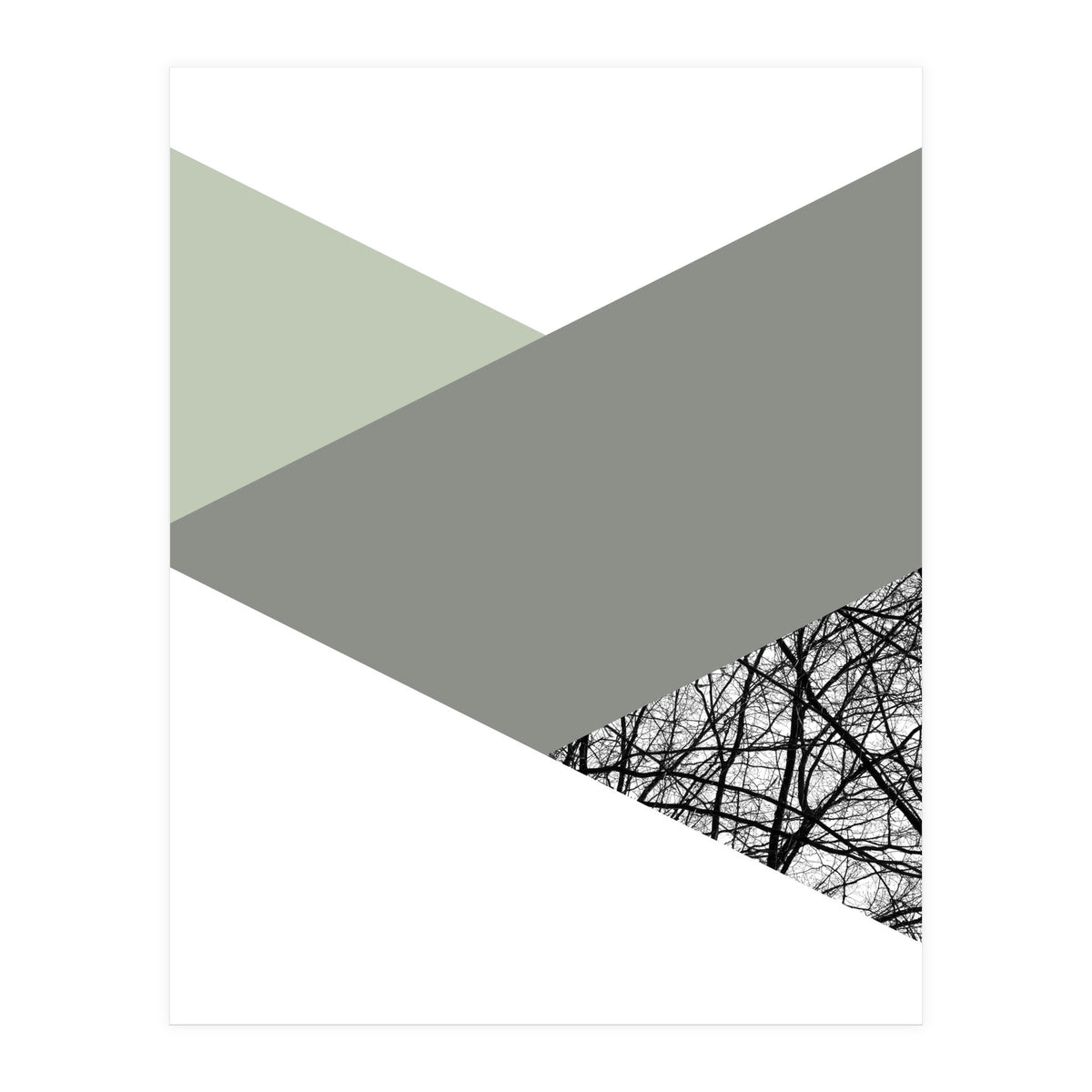 TRIWOOD III (Print Only)