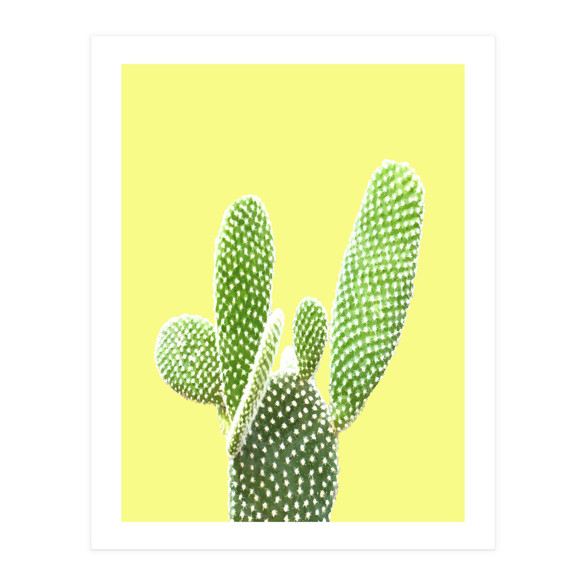 Cactus Yellow Background (Print Only)
