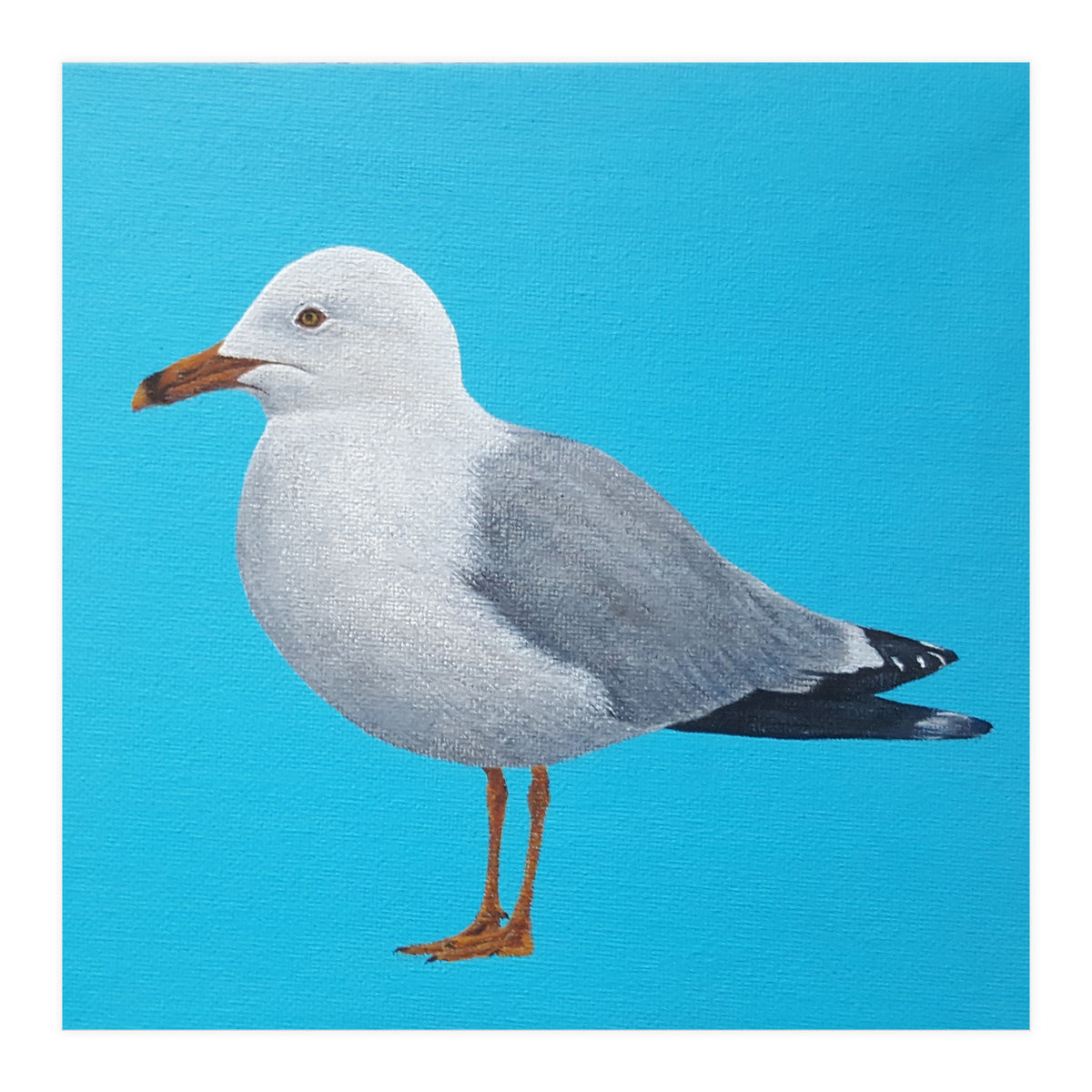 Seagull (Print Only)
