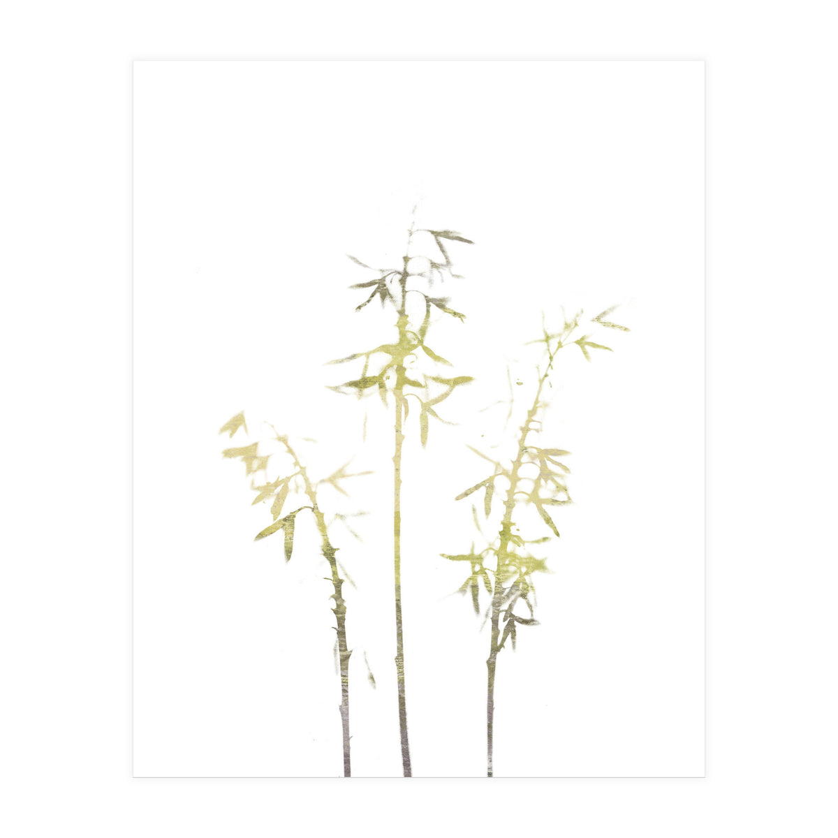 Neutral Hosta (Print Only)