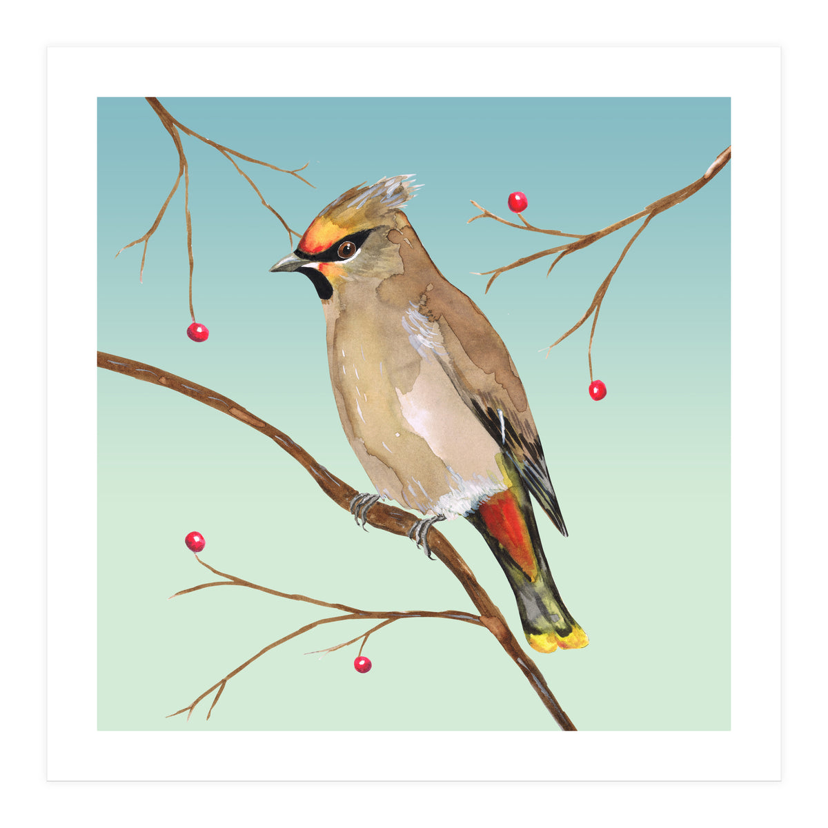 Bohemian waxwing (Print Only)