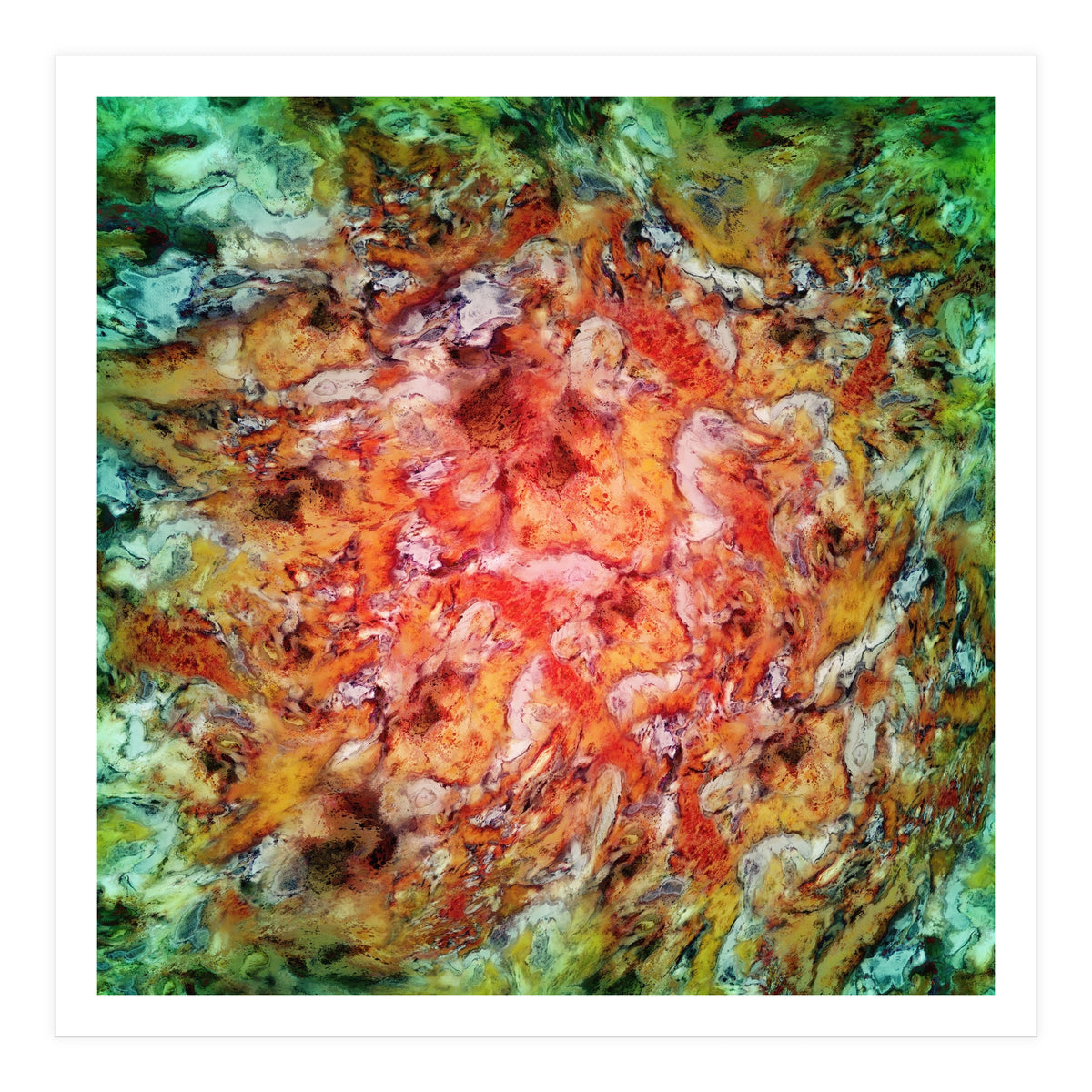 The Beautiful Evidence (Print Only)