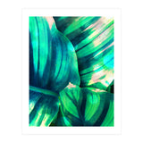 Moksha (Print Only) thumbnail