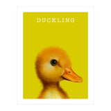 Duckling (Print Only) thumbnail