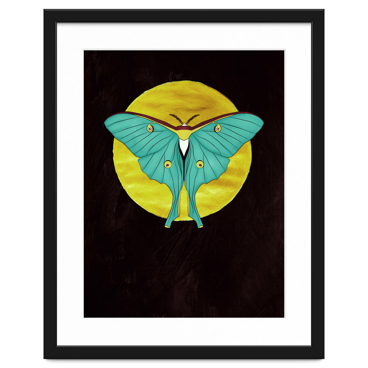 Luna Moth Moon