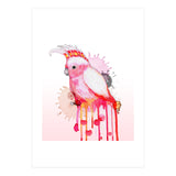 Major Mitchell's cockatoo (Print Only) thumbnail